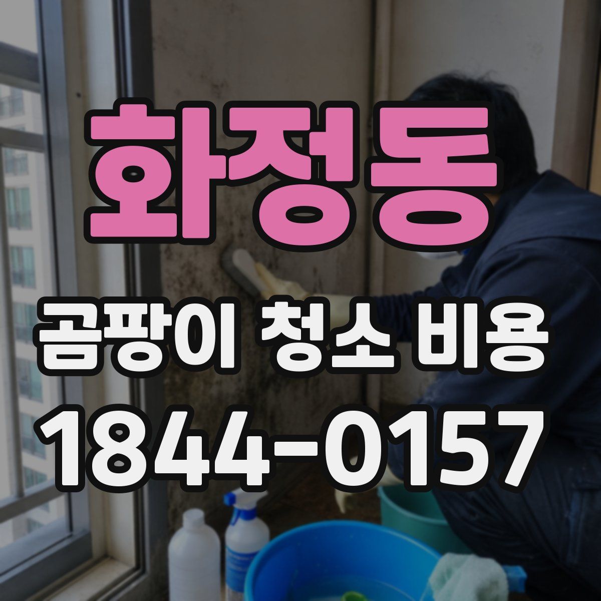 화정동 곰팡이 청소 비용