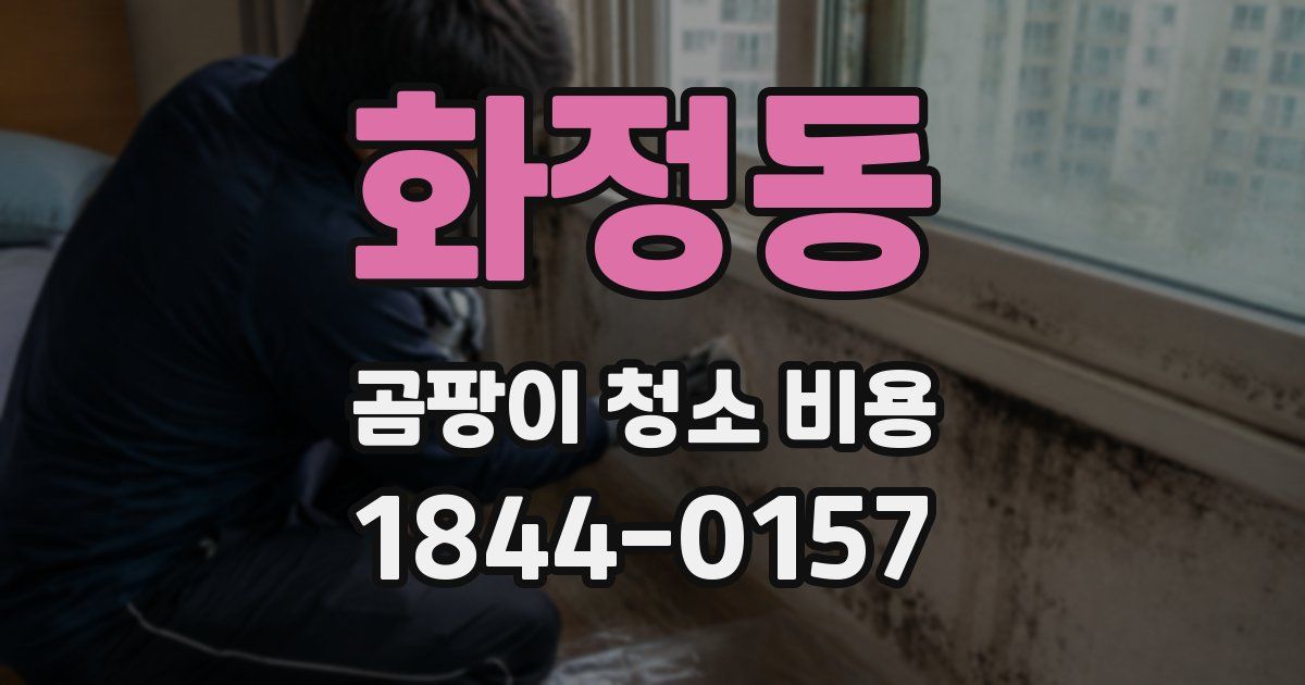 화정동 곰팡이 청소 비용