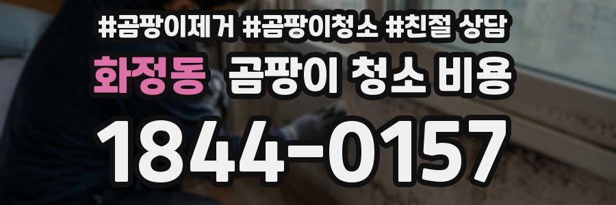 화정동 곰팡이 청소 비용