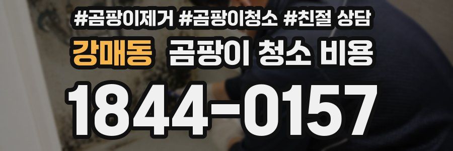 강매동 곰팡이 청소 비용