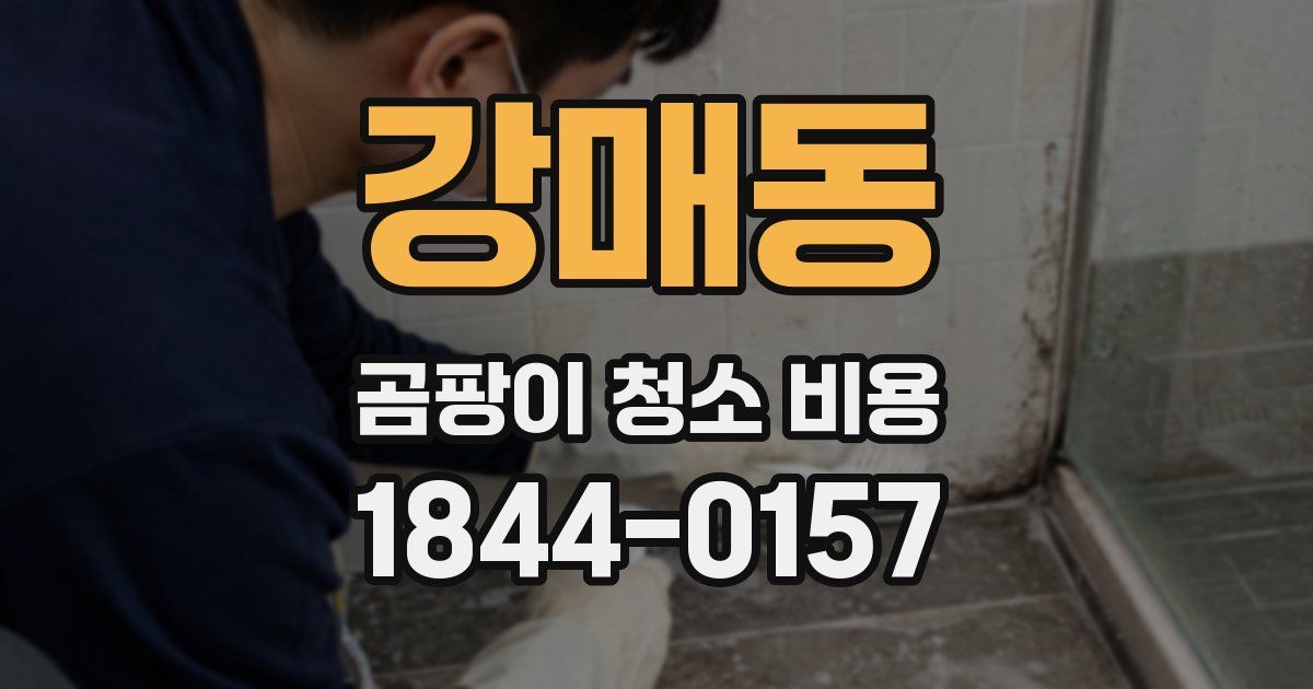 강매동 곰팡이 청소 비용