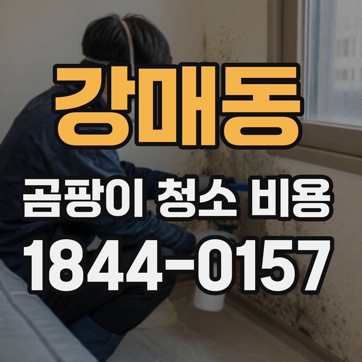 강매동 곰팡이 청소 비용