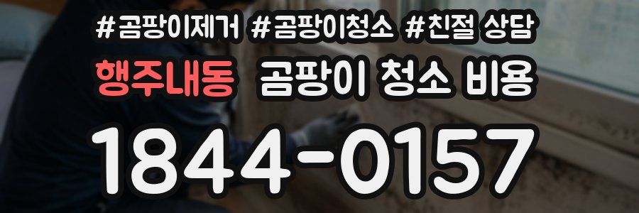 행주내동 곰팡이 청소 비용