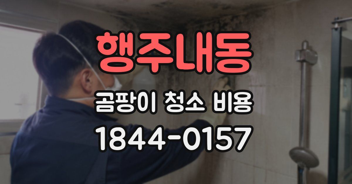 행주내동 곰팡이 청소 비용