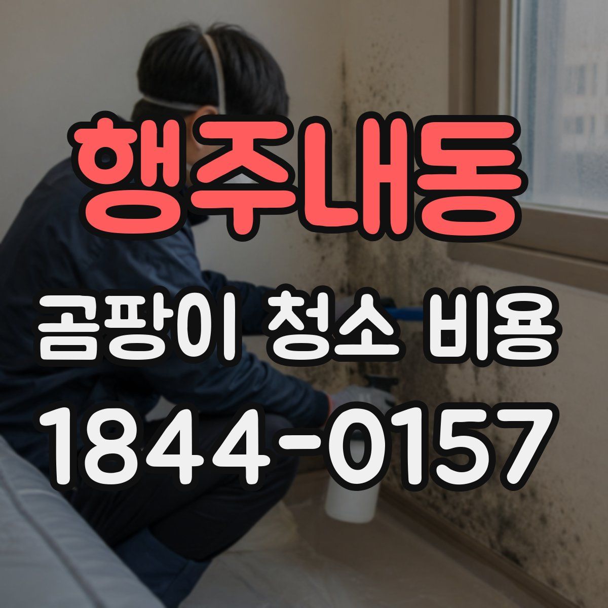 행주내동 곰팡이 청소 비용