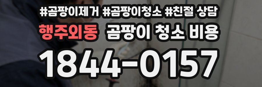 행주외동 곰팡이 청소 비용