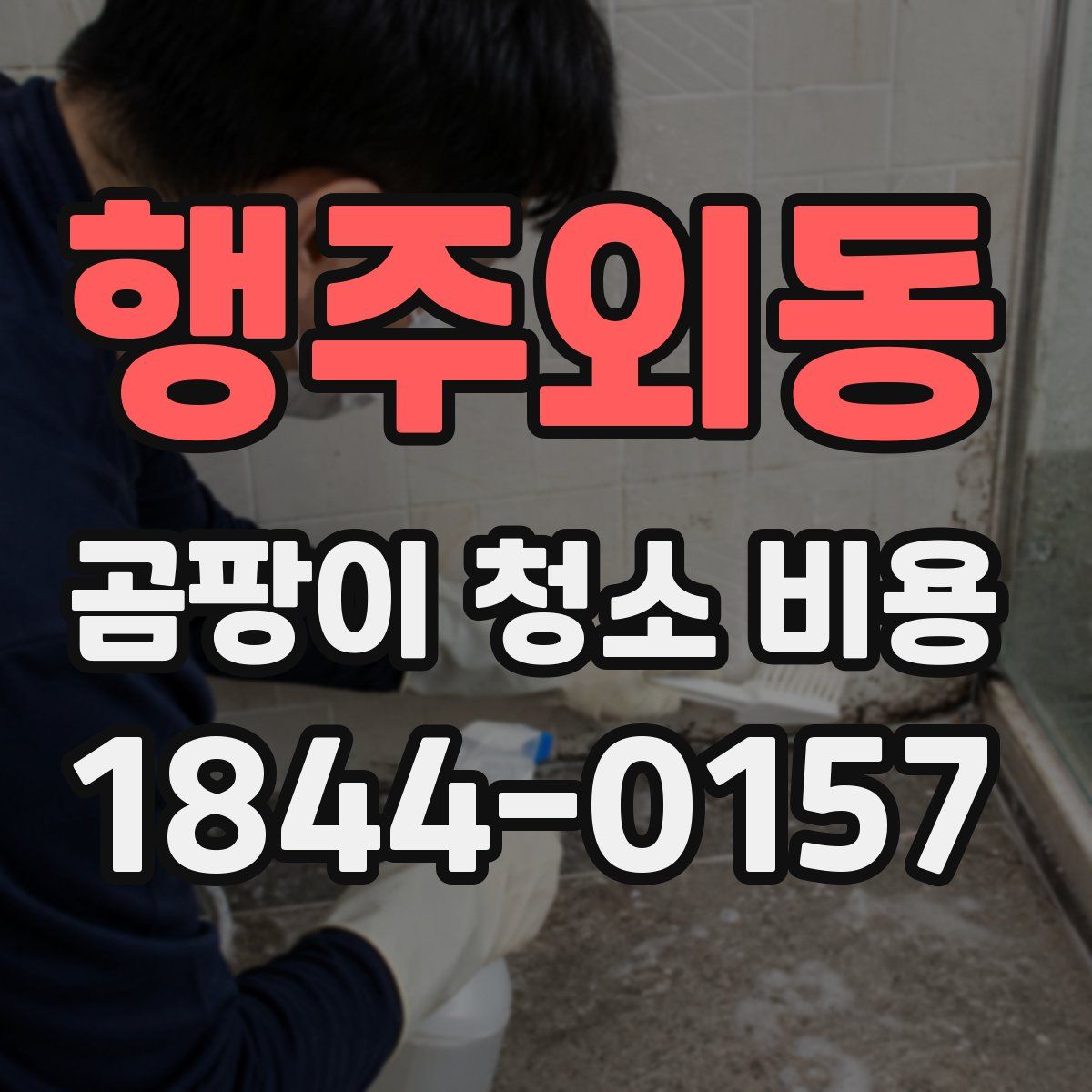 행주외동 곰팡이 청소 비용