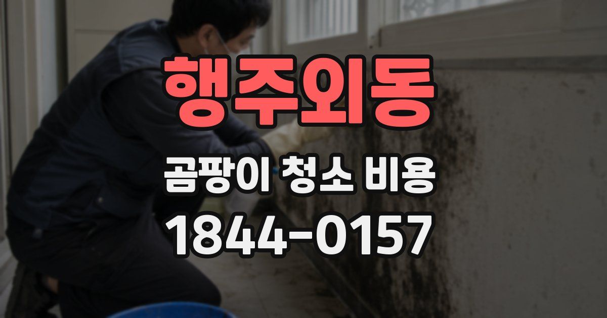 행주외동 곰팡이 청소 비용