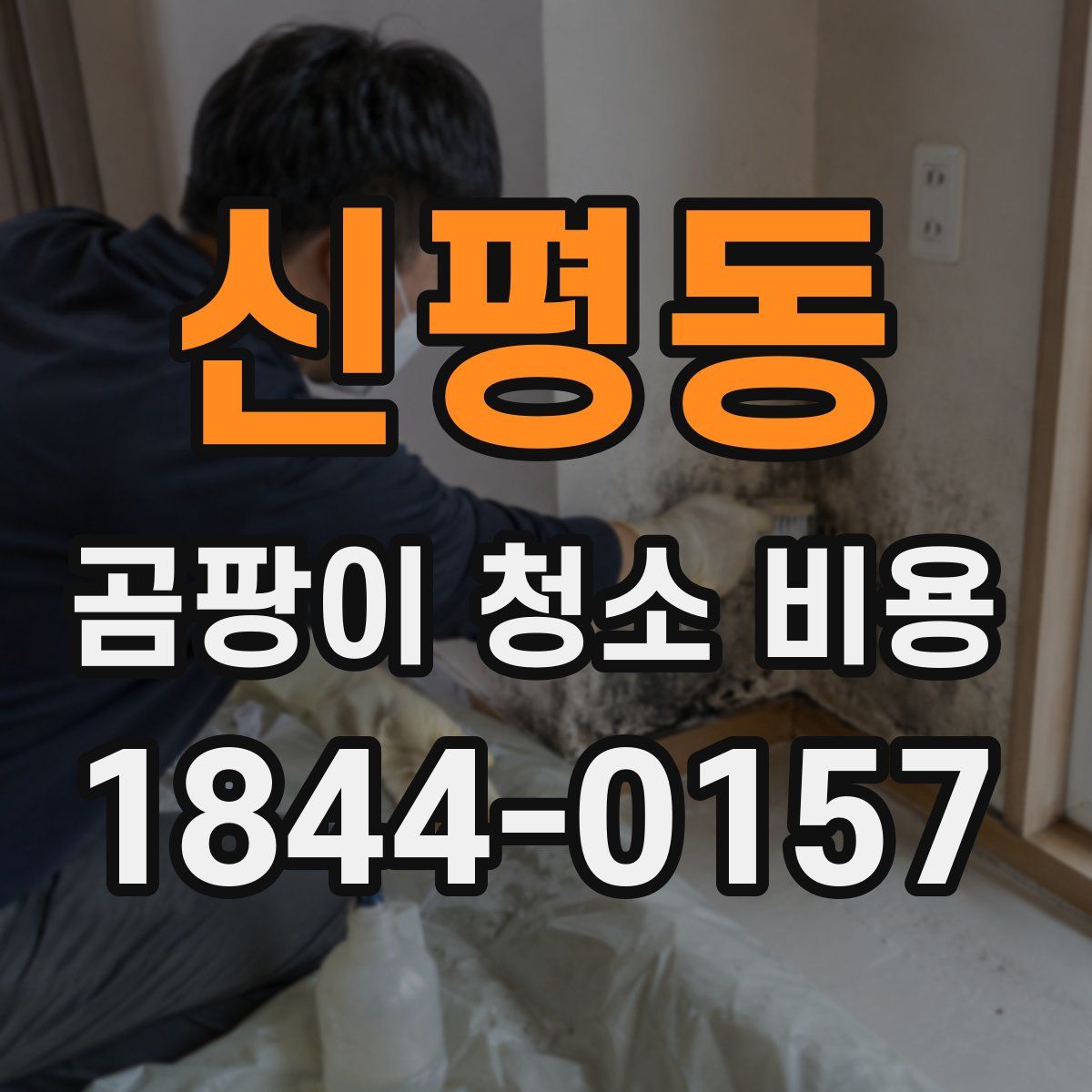 신평동 곰팡이 청소 비용