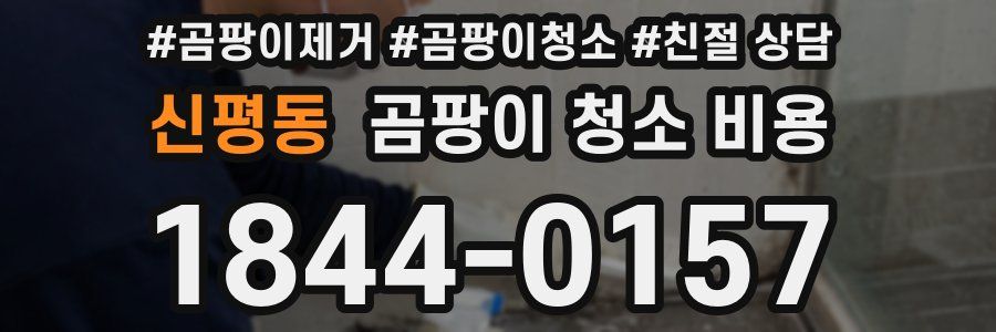 신평동 곰팡이 청소 비용