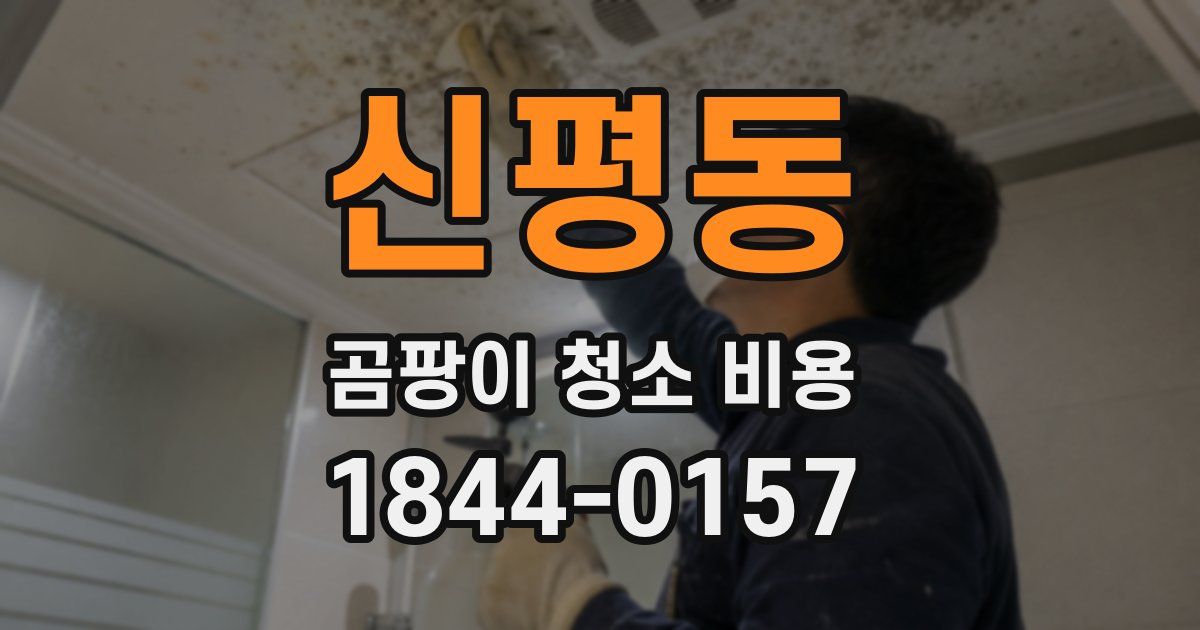 신평동 곰팡이 청소 비용