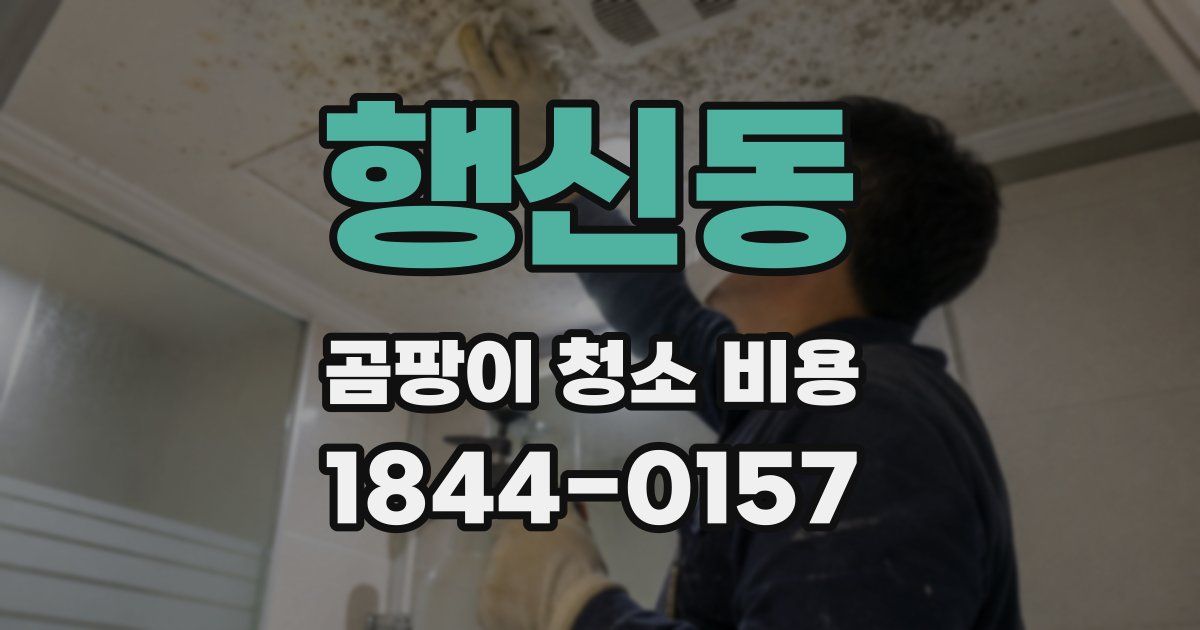 행신동 곰팡이 청소 비용