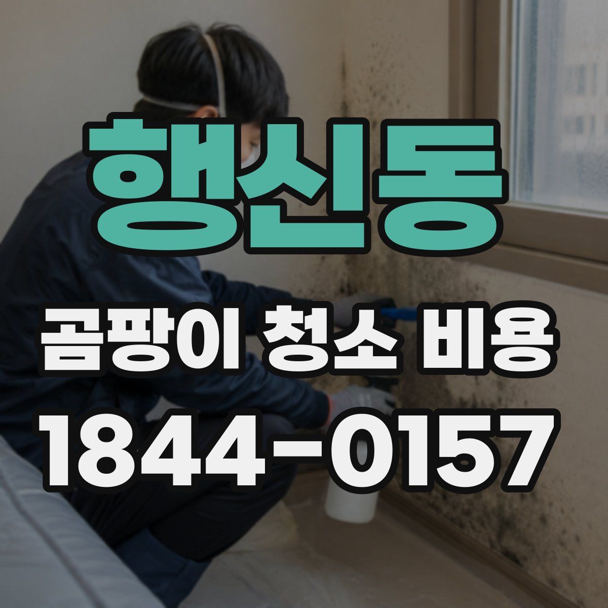 행신동 곰팡이 청소 비용