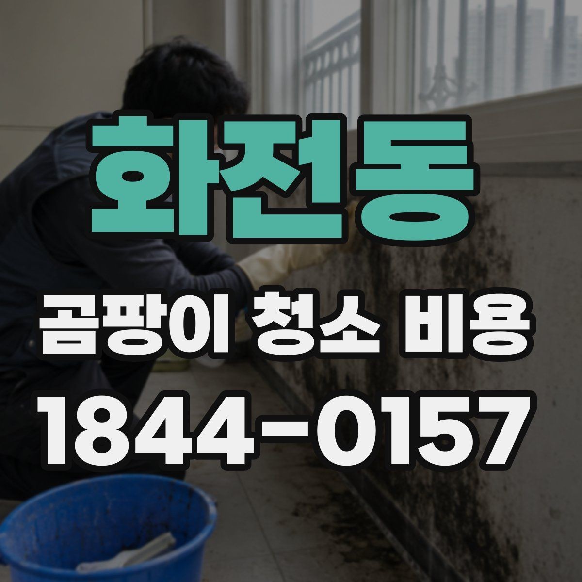화전동 곰팡이 청소 비용 견적을 받을 때 살펴볼 항목