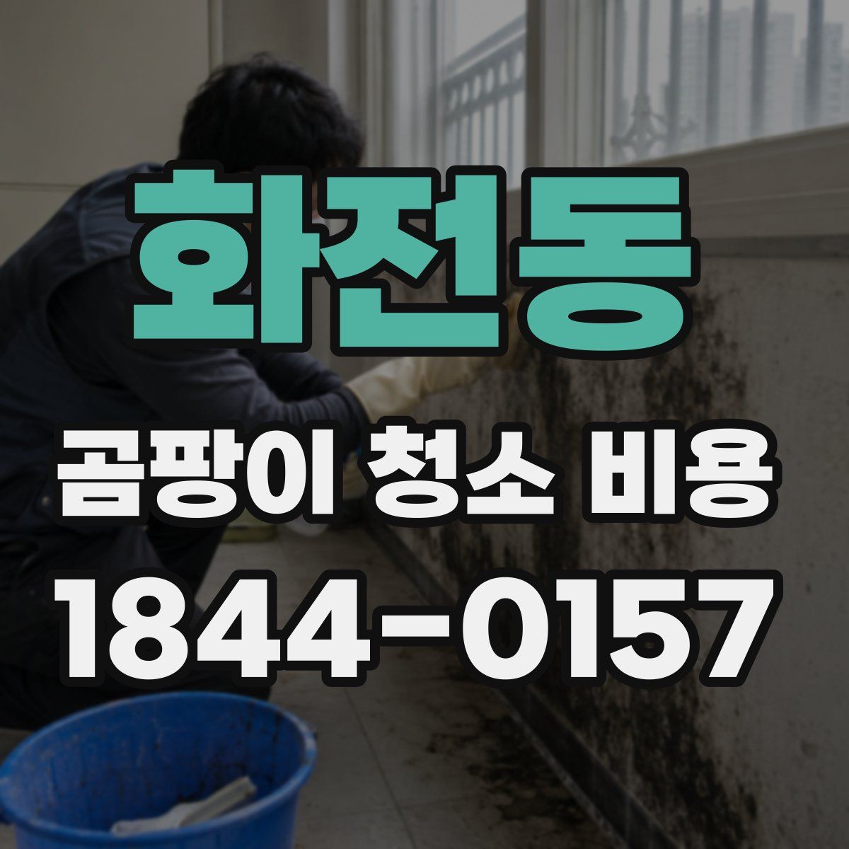 화전동 곰팡이 청소 비용