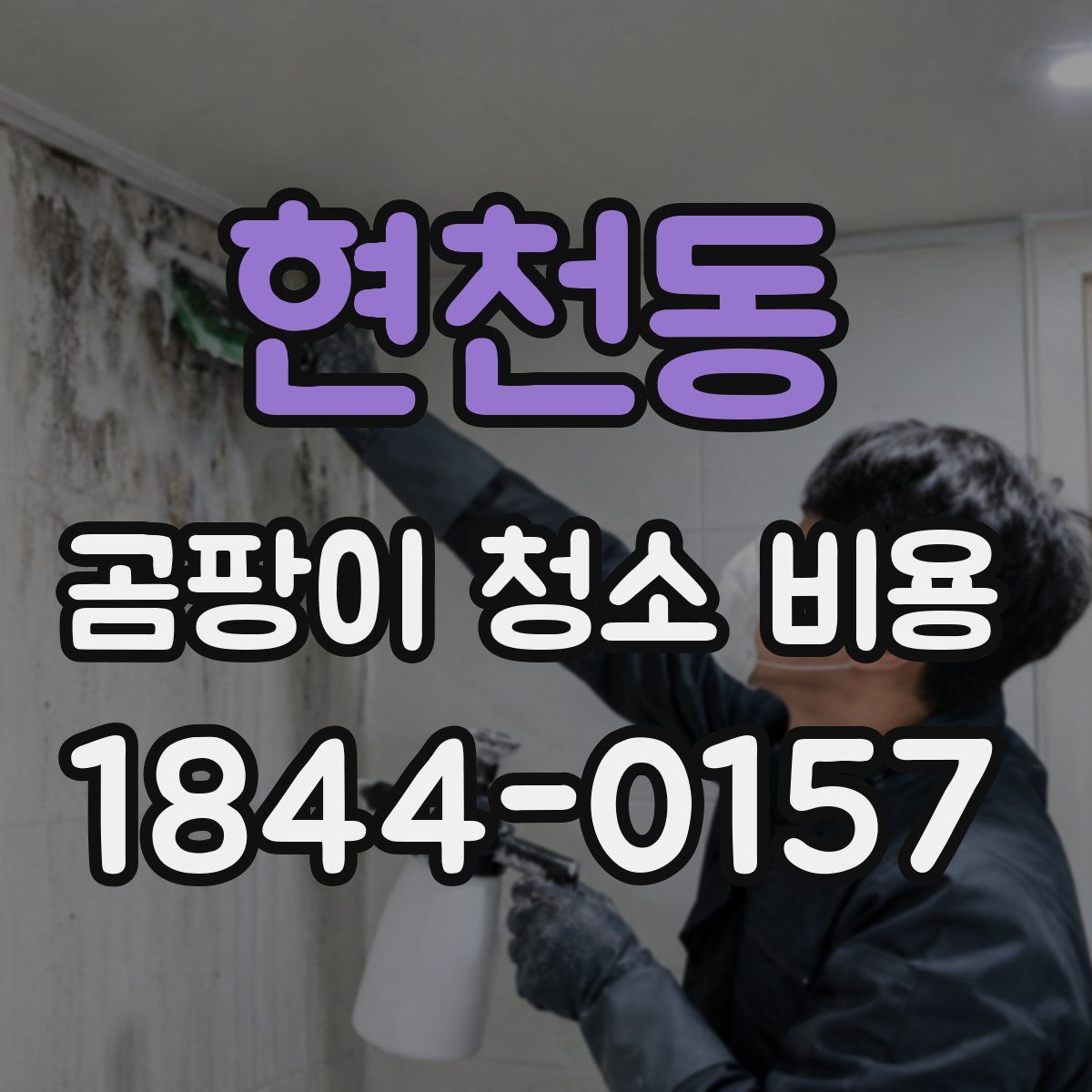 현천동 곰팡이 청소 비용