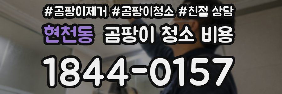 현천동 곰팡이 청소 비용