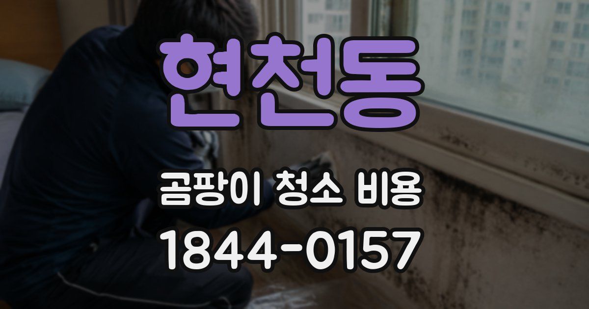 현천동 곰팡이 청소 비용