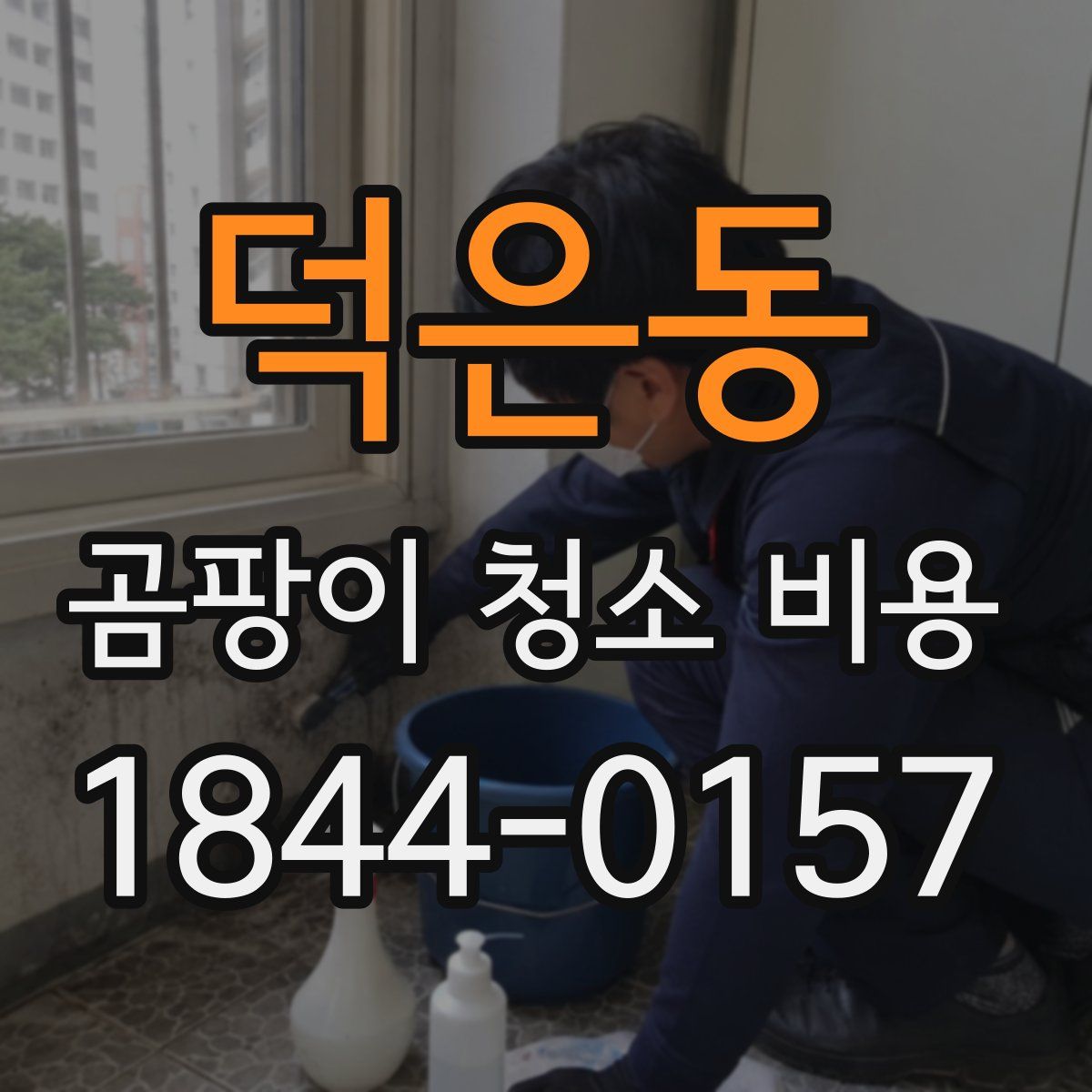 덕은동 곰팡이 청소 비용