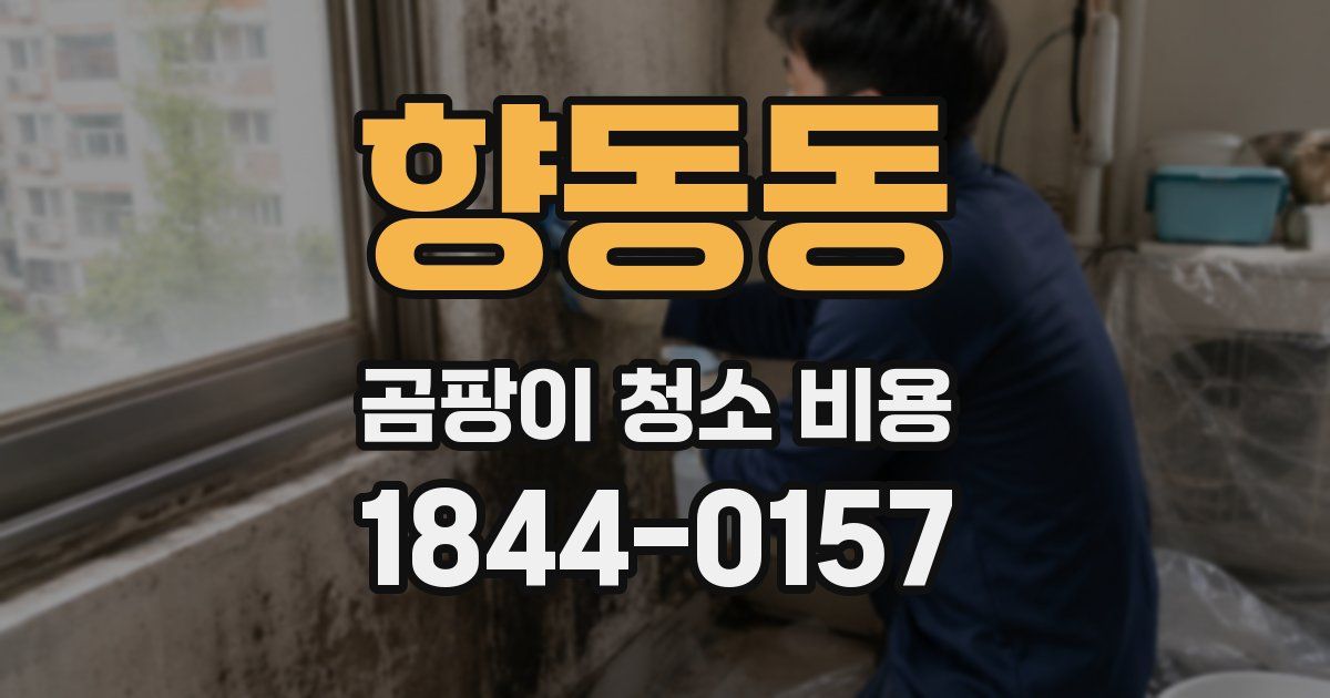 향동동 곰팡이 청소 비용