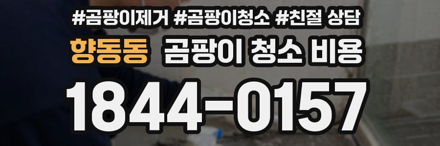 향동동 곰팡이 청소 비용