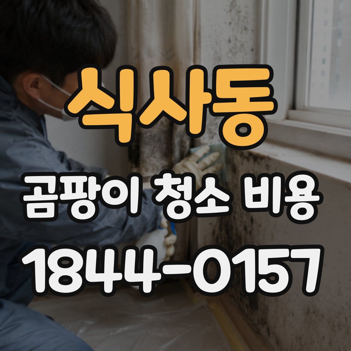 식사동 곰팡이 청소 비용
