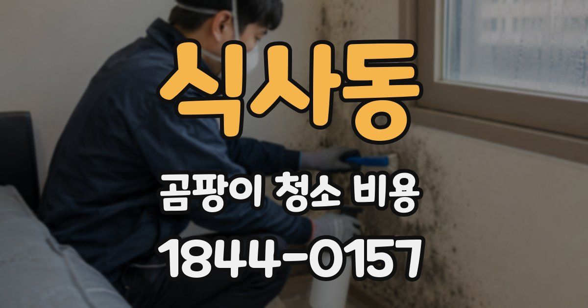 식사동 곰팡이 청소 비용
