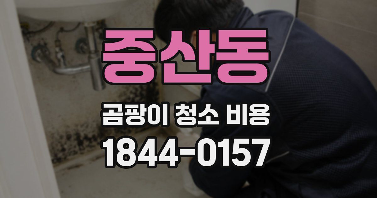 중산동 곰팡이 청소 비용