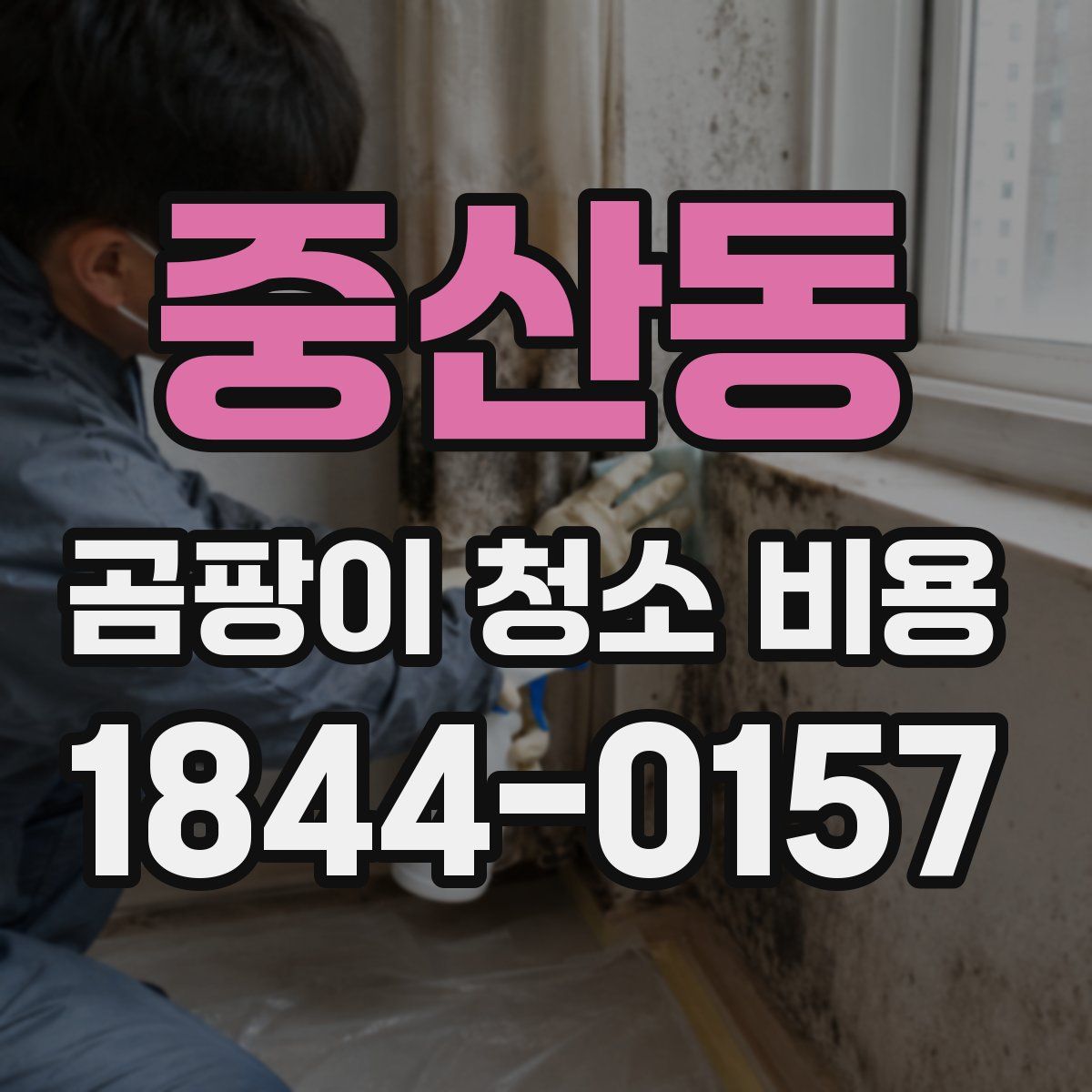중산동 곰팡이 청소 비용