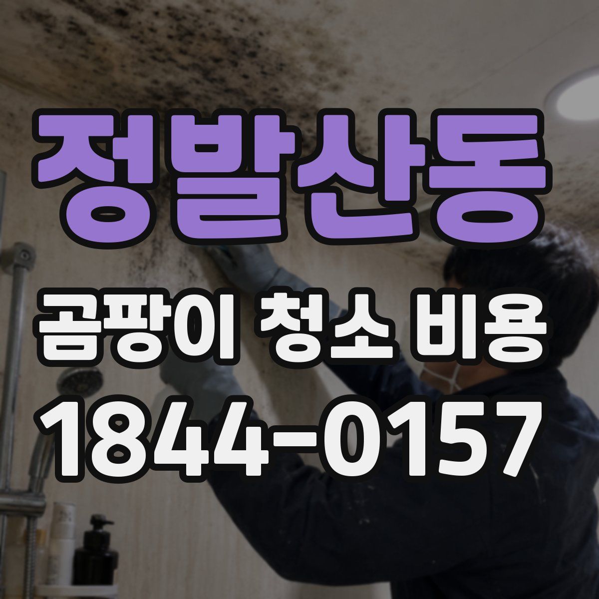 정발산동 곰팡이 청소 비용