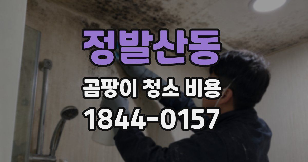 정발산동 곰팡이 청소 비용