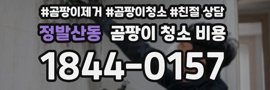 정발산동 곰팡이 청소 비용
