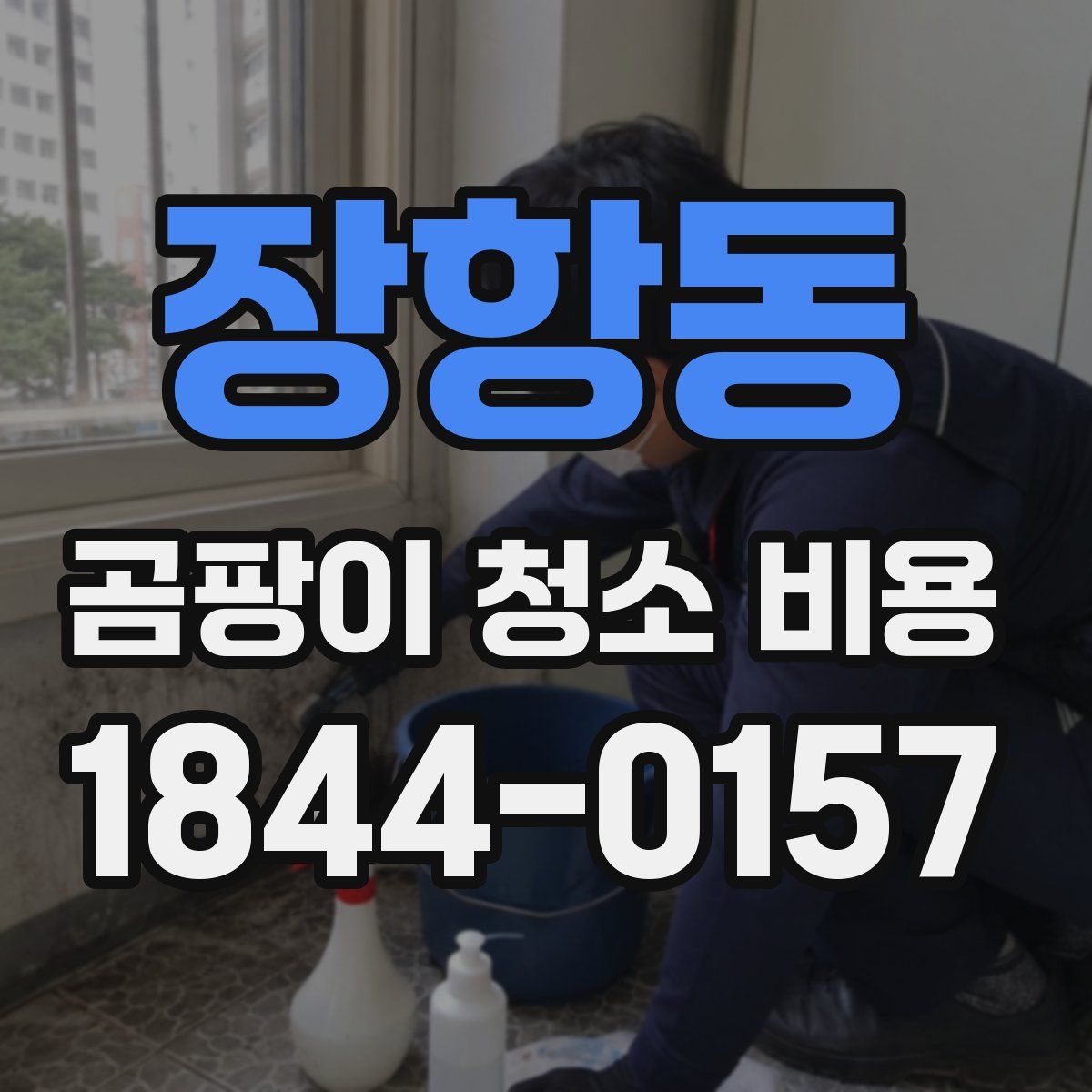 장항동 곰팡이 청소 비용