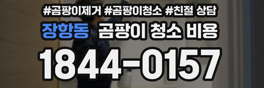 장항동 곰팡이 청소 비용