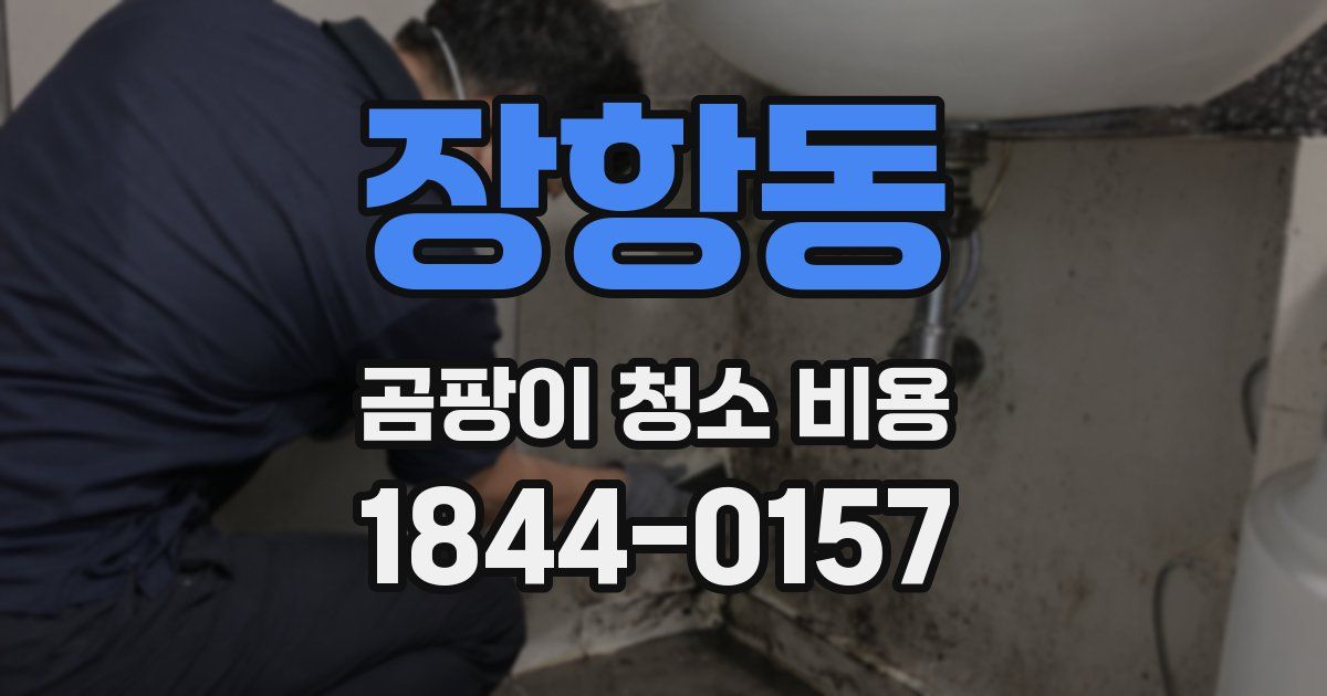 장항동 곰팡이 청소 비용
