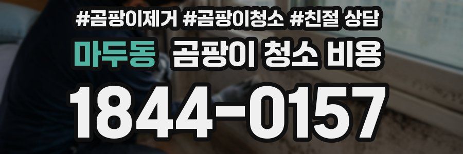 마두동 곰팡이 청소 비용
