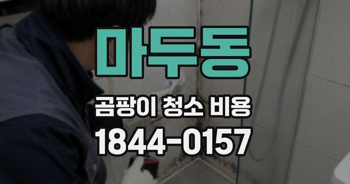 마두동 곰팡이 청소 비용