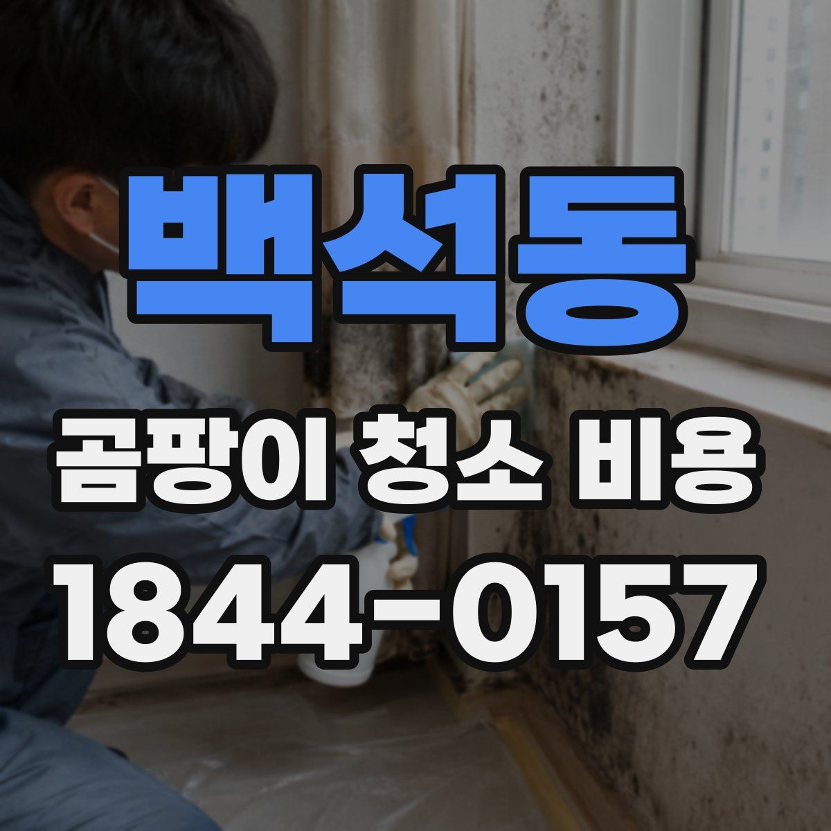 백석동 곰팡이 청소 비용