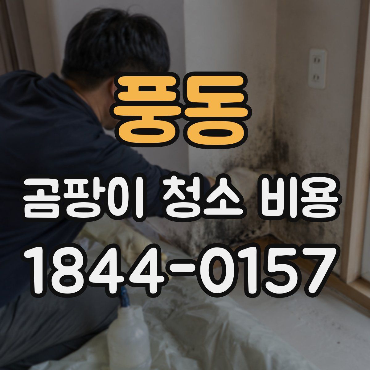 풍동 곰팡이 청소 비용