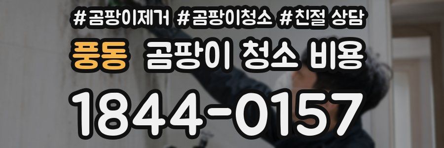 풍동 곰팡이 청소 비용
