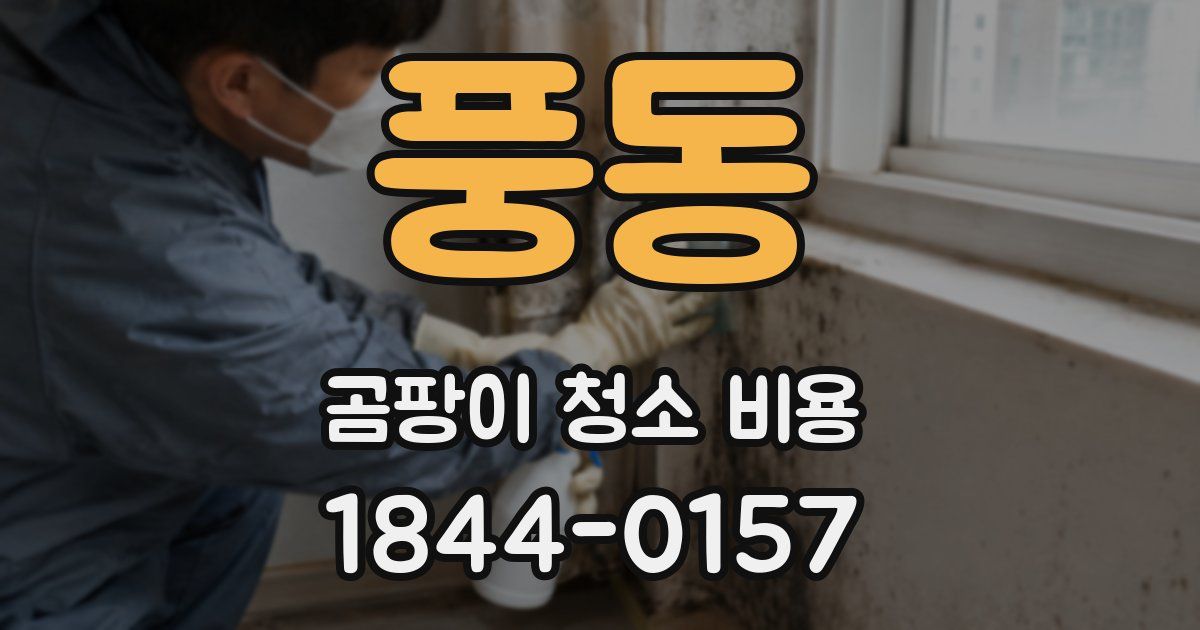 풍동 곰팡이 청소 비용
