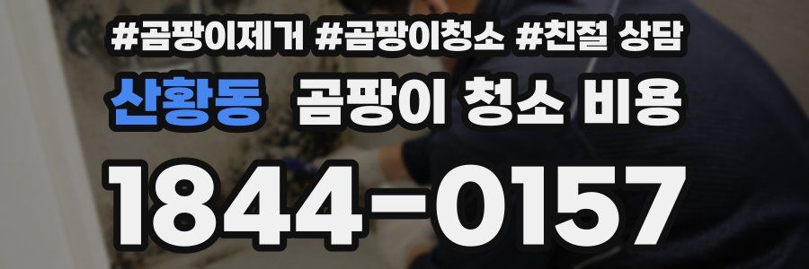 산황동 곰팡이 청소 비용