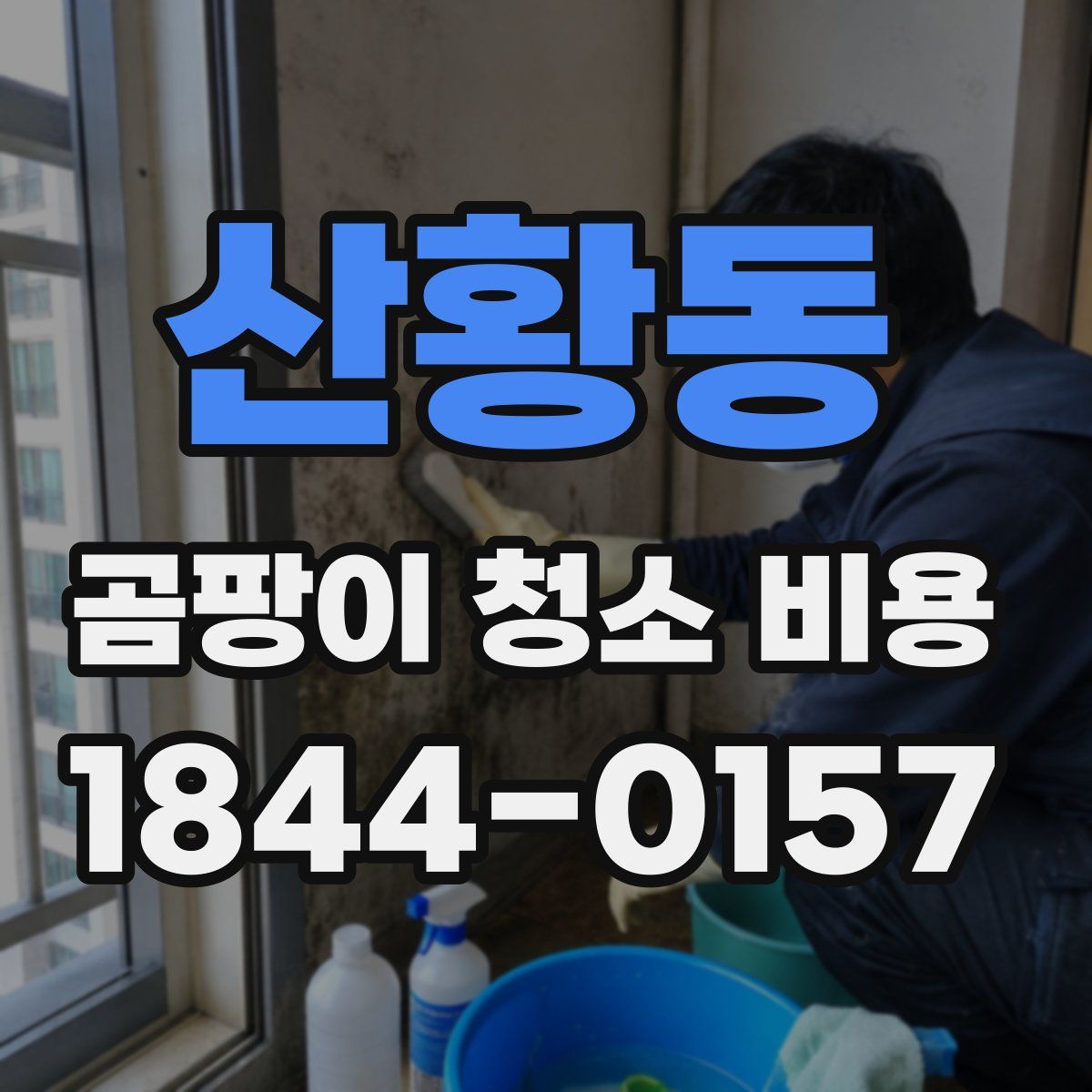산황동 곰팡이 청소 비용
