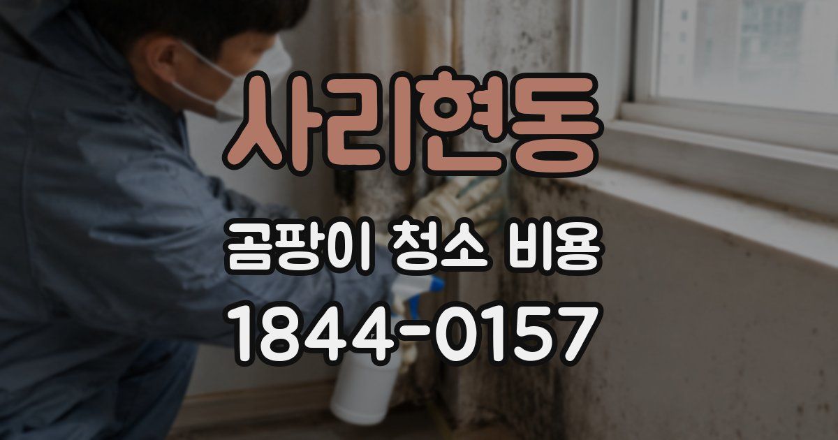 사리현동 곰팡이 청소 비용