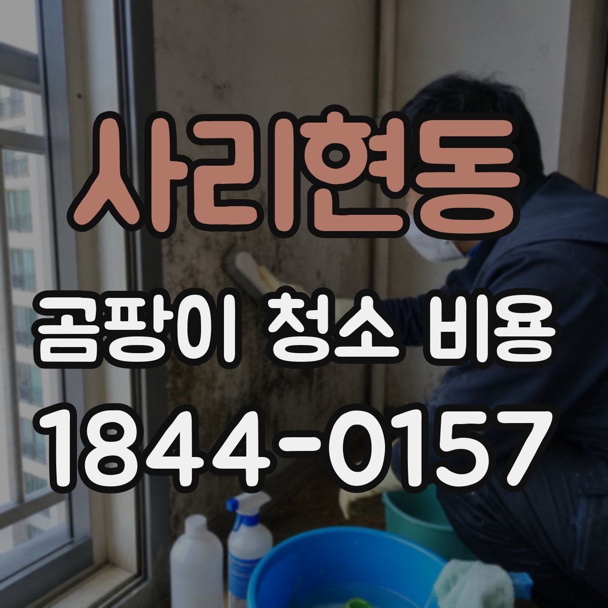 사리현동 곰팡이 청소 비용