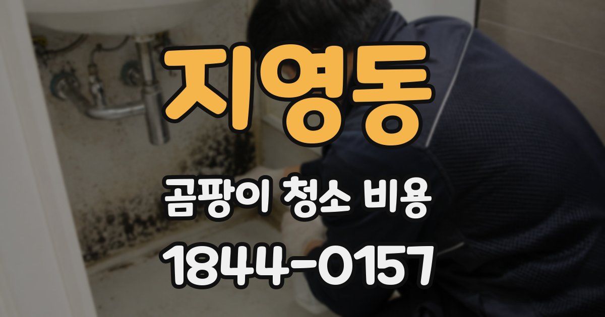 지영동 곰팡이 청소 비용