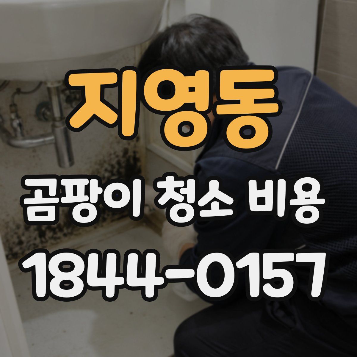 지영동 곰팡이 청소 비용
