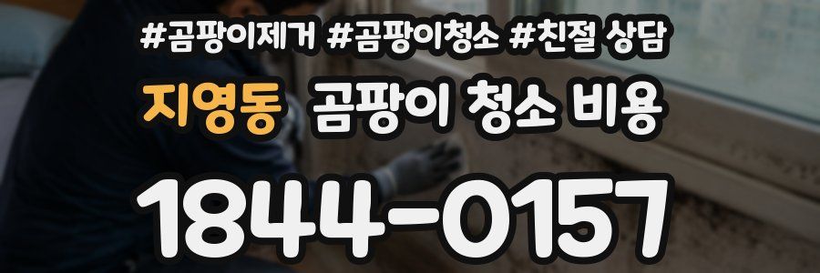 지영동 곰팡이 청소 비용