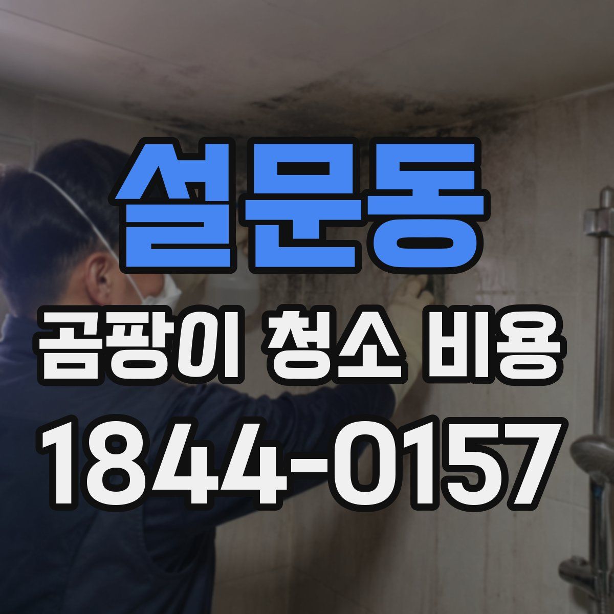설문동 곰팡이 청소 비용