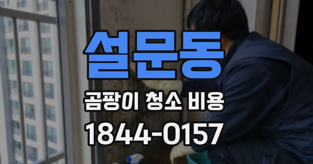 설문동 곰팡이 청소 비용